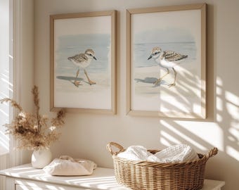 Mailed Prints | Piping Plover Watercolor Wall Art, Snowy Plovers Bird Print Set of 2, Coastal Kids Room Decor, Beach House Artwork