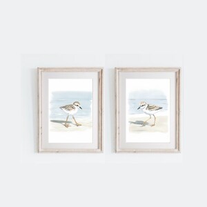 May include: Two framed watercolor paintings of a small brown and white bird with orange legs walking on a beach. The bird is facing different directions in each painting.