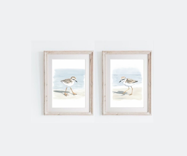 May include: Two framed watercolor paintings of a small brown and white bird with orange legs walking on a beach. The bird is facing different directions in each painting.