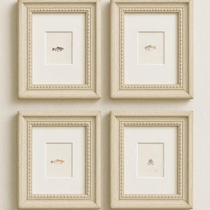 May include: Four framed art prints featuring watercolor illustrations of fish. Each print is set in a cream-colored frame with a beaded border. The fish illustrations are in shades of blue, brown, and orange, set against a white background.