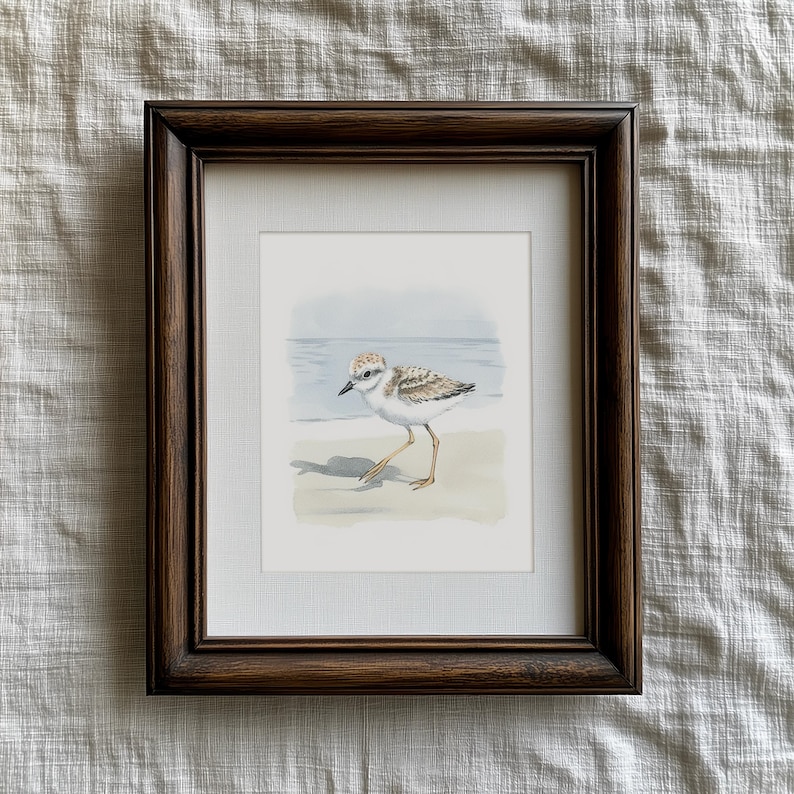 Mailed Prints | Piping Plover Watercolor Wall Art, Snowy Plovers Bird Print Set of 2, Coastal Kids Room Decor, Beach House Artwork image 6