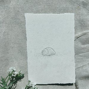 May include: A minimalist pen and ink drawing of a seashell on textured paper. The artwork is set against a neutral linen background, with a sprig of white flowers in the lower left corner. The seashell is depicted with fine lines.