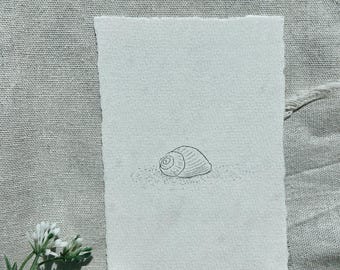 Framed Mini Spiral Sea Shell Drawing – Original Hand Drawn Coastal Sketch, Tiny Beach house Artwork, Mailed Small Wall Art, 4x6,limited