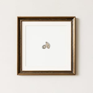 May include: A framed artwork featuring a watercolour painting of an oyster shell. The artwork is set against a white background and framed in a dark, ornate gold frame. The oyster shell is depicted in shades of grey and beige.