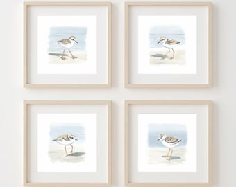 Mailed Prints - Snowy Plovers Art Print Set of 4  | Birds Art print |  Kid room wall art | Coastal Watercolor Prints |