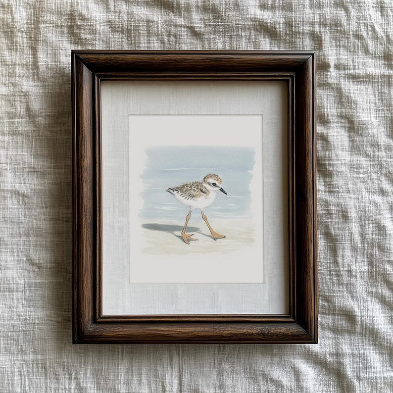 Mailed Prints | Piping Plover Watercolor Wall Art, Snowy Plovers Bird Print Set of 2, Coastal Kids Room Decor, Beach House Artwork image 7