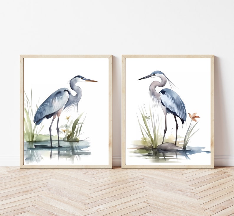 May include: Two watercolor paintings of blue herons standing in a marsh. The herons are depicted in a realistic style with detailed feathers and a natural background.