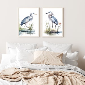 May include: Two watercolor paintings of blue herons standing in a marsh setting. The herons are depicted in a light blue and gray color scheme with a white background. The paintings are framed in a simple white frame.