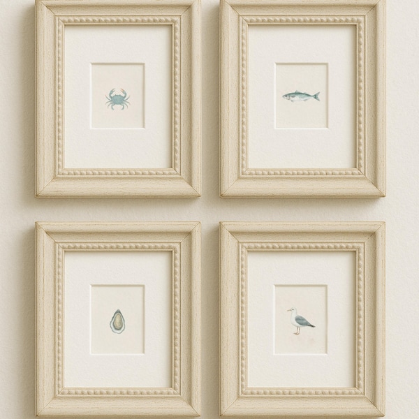 Miniature Sea Life Watercolor Set of 4– Tiny Crab, Trout, Oyster & Seagull Art Print, Coastal Farmhouse Wall Décor, Mailed Artwork