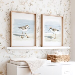 Mailed Prints | Piping Plover Watercolor Wall Art, Snowy Plovers Bird Print Set of 2, Coastal Kids Room Decor, Beach House Artwork image 8