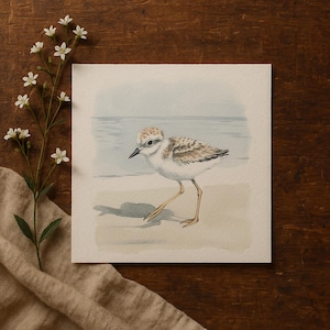 Mailed Prints | Piping Plover Watercolor Wall Art, Snowy Plovers Bird Print Set of 2, Coastal Kids Room Decor, Beach House Artwork image 5