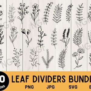 hojas svg, hojas dibujadas a mano svg, archivos cortados, archivos para cricut, clipart , vector