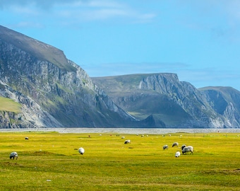 Minaun Cliffs 5x7 Ireland card blank inside, Marianne Mangan, Keel beach, Achill Island, County Mayo, Ireland, Wild Atlantic Way