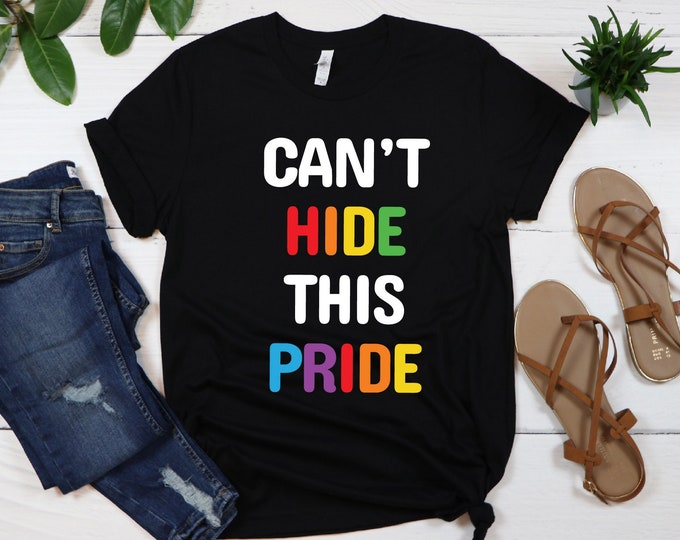 Cant Hide This Pride T-Shirt, Pride Shirt, Love Is Love, Custom High Quality Shirt, Novelty Shirt, LGBTQ+, Gay Pride Flag Design Shirt