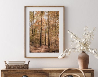 Autumn Forest Photography Wall Art, Fall Woods Landscape Art, Printable, Home Decor, Fall Decorations, Digital Download, Farm House Photo