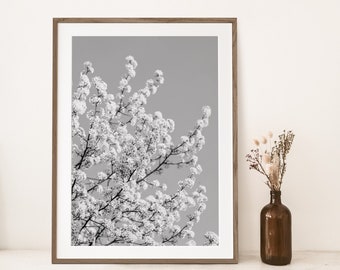 Summer Flowers Black and White Photography Farmhouse Wall Art, Home Decor Printable, Farm House Decor, Digital Download, Spring Blossoms