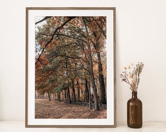 Autumn Trees Photograph Wall Art, Fall Woods Landscape Art, Printable, Home Decor, Fall Decorations, Digital Download, Fall Farm House Decor