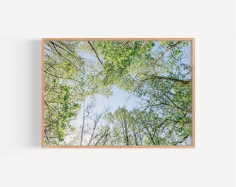 Bauernhof Druckbare Wandkunst, Wald Fotografie Landschaft Kunst, Wald Druck, Home Dekor, digitaler Download, Baum Fotografie