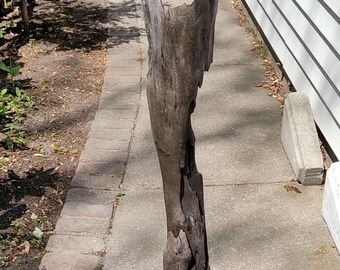 Xlarge driftwood plank