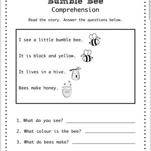 6 pages of reading comprehension lessons for kids