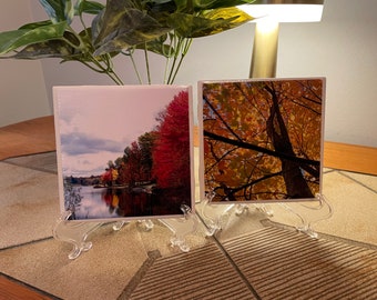 Fall Season Colors, Ceramic Tile Drink Coasters, Set of 4, Gift It, Hostess Gift, Home Decor, Specially Made