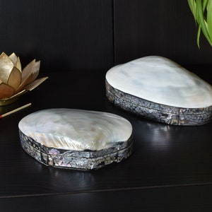 Muschel-Schmuckdose (Perlmutt/Abalone)