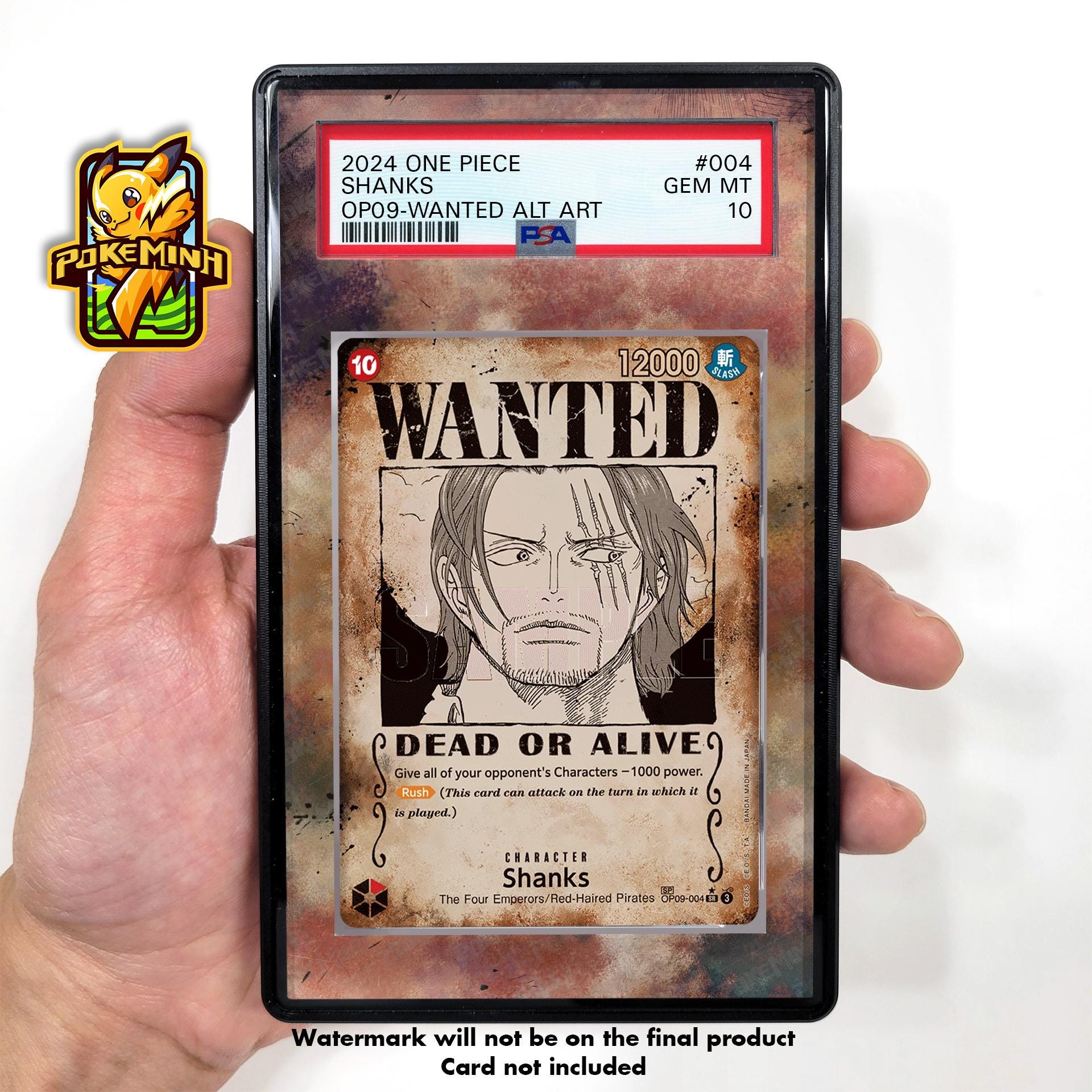 Wanted Poster Custom One Piece Graded Display Case - Etsy