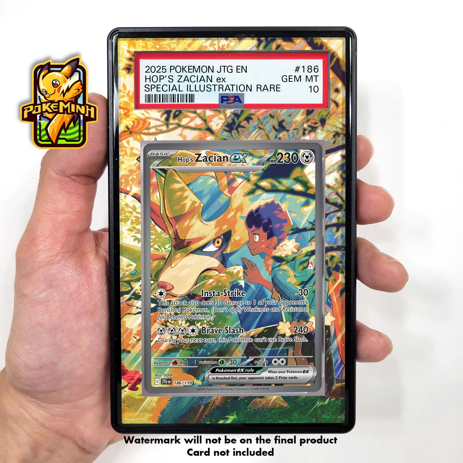 ホップのザシアンEX SARカスタムポケモン鑑定済みディスプレイケース