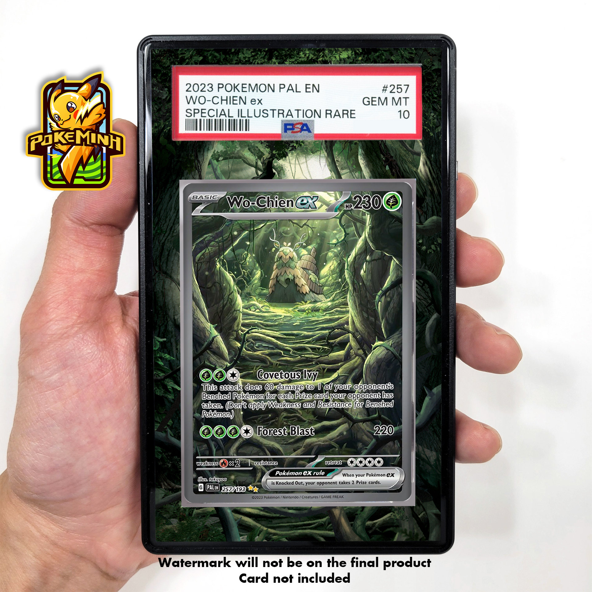 poochyena pokemon card Poochyena – Japan Pop Mart