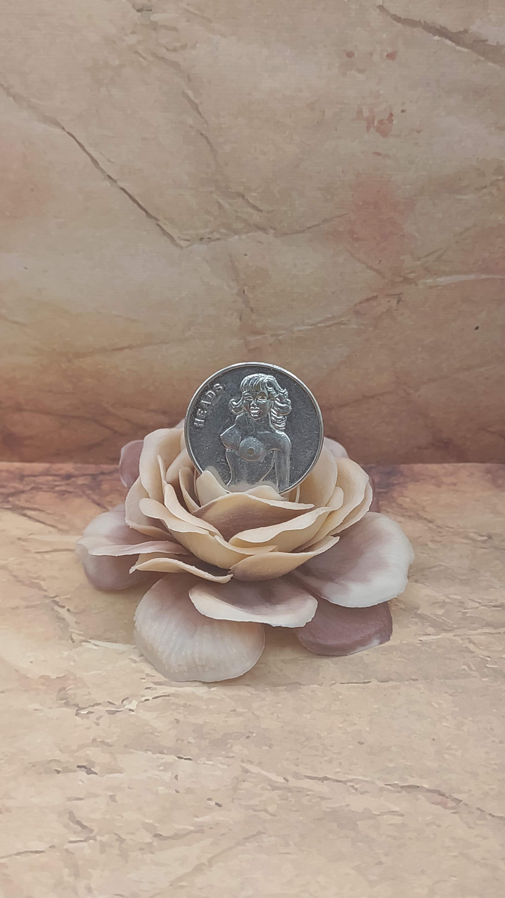 Heads or Tails Coin Topless and Bottomless Coin Pinup Coin Etsy