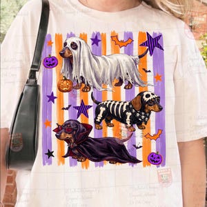 May include: A cream-colored t-shirt featuring a graphic of three dachshunds in Halloween costumes. One dog wears a ghost sheet, one a skeleton suit, and one a vampire cape with sunglasses. The background has orange and purple vertical stripes.