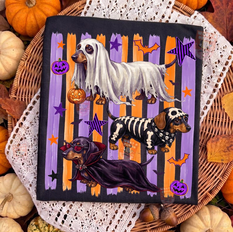May include: A black t-shirt featuring three dachshunds in Halloween costumes: one as a ghost, one as a skeleton, and one as a vampire. The background has vertical purple and orange stripes with orange pumpkins, purple stars, and orange bats.
