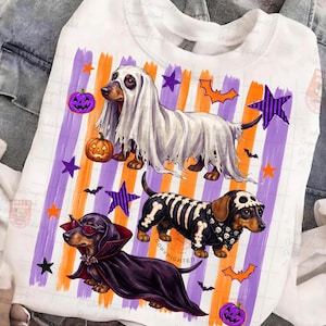 May include: A white sweatshirt featuring a graphic print of three dachshunds in Halloween costumes: one as a ghost, one as a skeleton, and one as a vampire. The background includes vertical orange and purple stripes, orange and purple stars, bats, and purple jack-o'-lanterns.