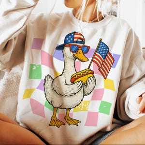 Boy 4th Goose PNG, Boy 4th July PNG, Patriotic Boy PNG, Independence Boy Design Patriotic Goose Png, 4th Goose Png