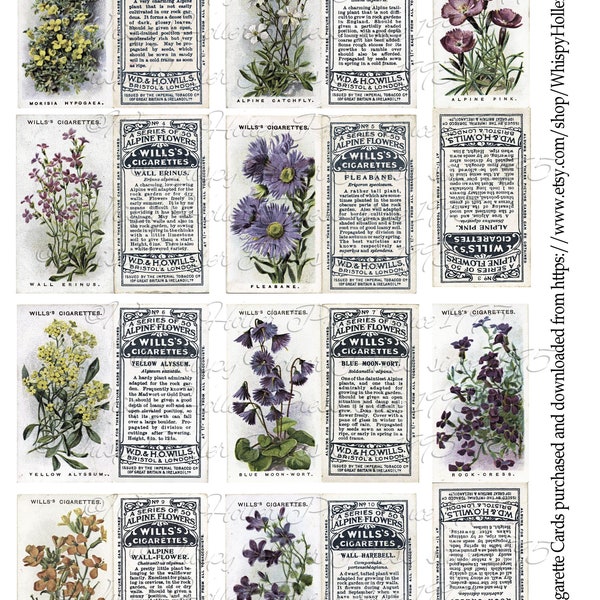 Cigarette Cards, Vintage Floral Cigarette Cards, Vintage Ephemera, Junk Journal, Journal Tucks, Digital Download, Journal Pocket Stuffers