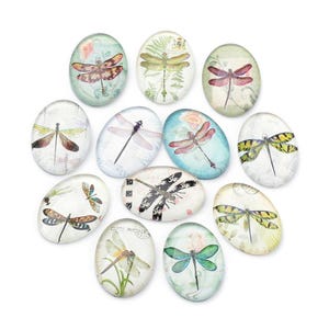 lot de 10 cabochons 25x18 mm libellules