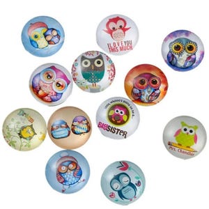 lot de 10 cabochons verre chouette  hiboux