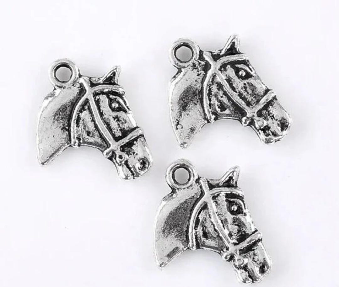 64 Ciondoli Tema Cowboy In Lega – Ferri Di Cavallo, Cavalli, Cactus – Stile Tibetano Con Foro Grande (5mm) – Per Gioielli Fai Da Te, Bracciali, Collane - 2