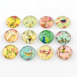 lot de 10 cabochons 12 mm  oiseaux