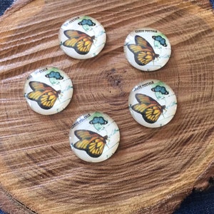 lot de 5 cabochons verre  25 mm papillons