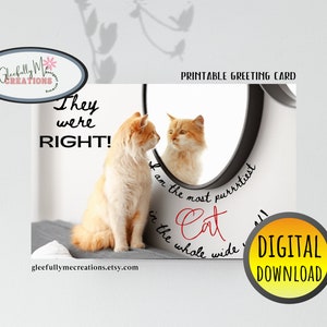 Herunterladbare hübsche Katze digitale Grußkarte für alle Gelegenheiten, Katzenliebhaber jeden Tag Notecard, lustige leere Katze sofortigen Zugriff druckbar, Katzenkunst