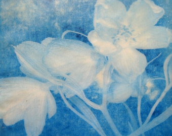 Blue Flowers II:  Cyanotype print Encaustic