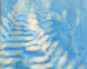 Ferns:  Cyanotype print Encaustic