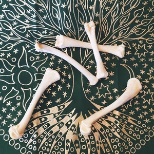 May include: Four white animal bones arranged in a star shape on a green fabric background with a gold pattern of a tree and stars.