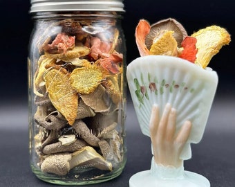 Dried Mushrooms