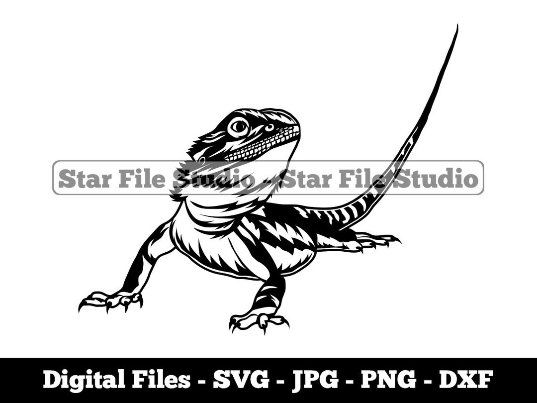 Bearded Dragon Svg, Lizard Svg, Reptile Svg, Bearded Dragon Png