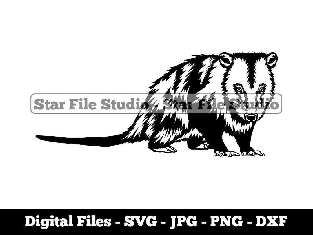 Opossum 2 Svg, Opossum Svg, Forest Animals Svg, Opossum Png, Opossum
