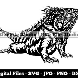 Iguana Svg, Lizard Svg, Reptile Svg, Iguana Png, Iguana Jpg, Iguana Files, Clipart