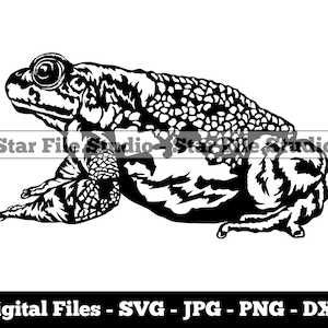 Toad #3 Svg, Toad Svg, Frog Svg, Toad Png, Toad Jpg, Toad Files, Toad Clipart