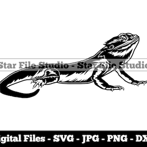 Bearded Dragon #6 Svg, Lizard Svg, Reptile Svg, Bearded Dragon Png, Bearded Dragon Jpg, Bearded Dragon Files, Bearded Dragon Clipart
